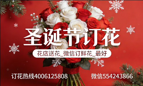���ݹ���������